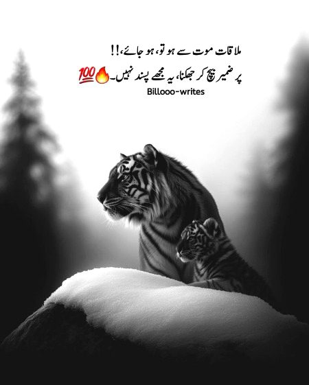 Attitude Poetry image