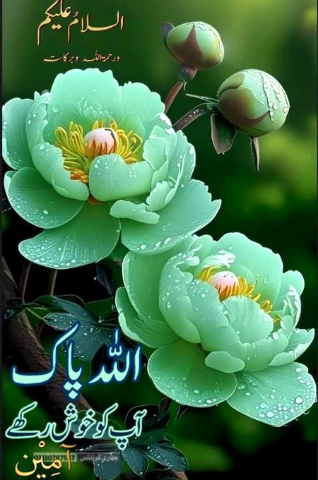 اللّٰہ پاک ہم سب پر اپنی رحمت فضل کرم کرے اور ہمارے دلوں کو ایمان کی دولت سے بھر دے آمین 🌹🌺🥀🥀