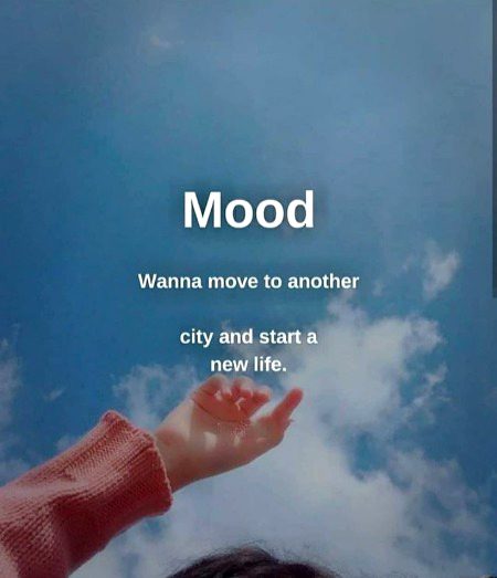 Mood...