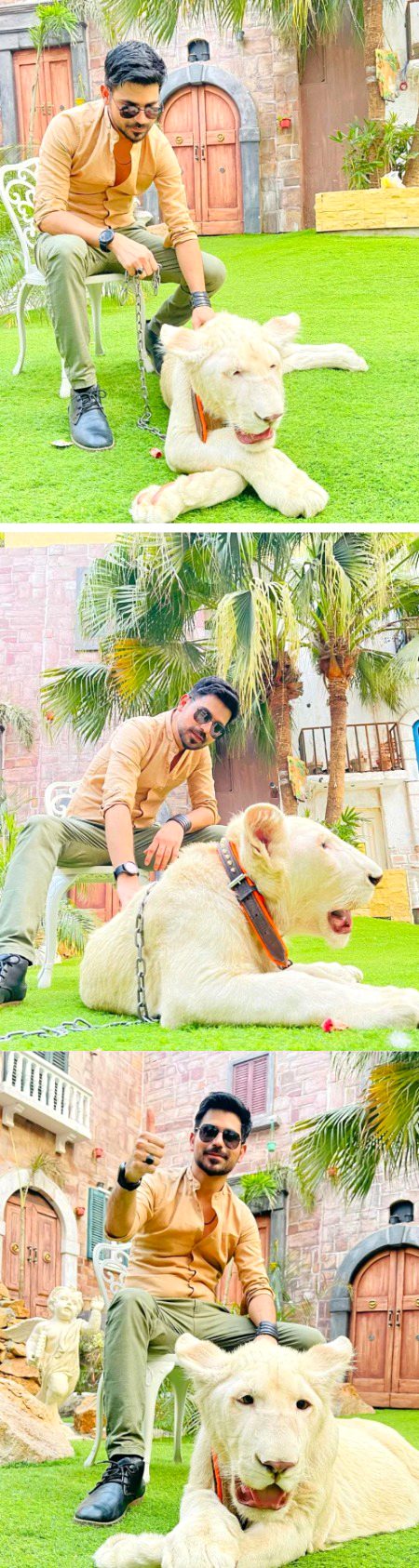 Pakistani Celebs image