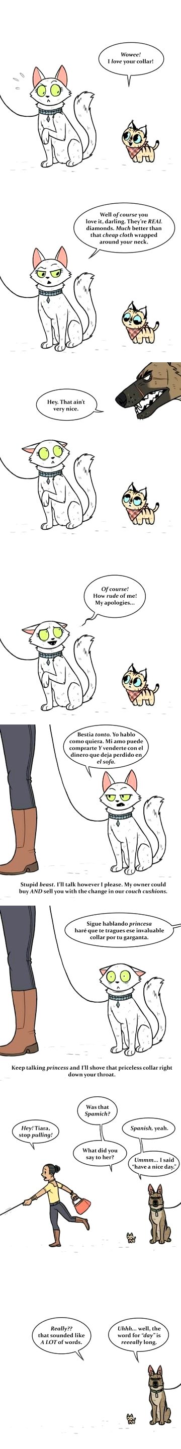 Interesting Posts image