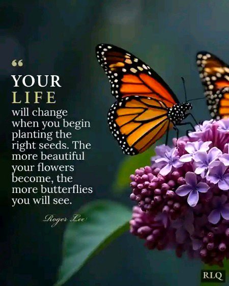 Motivational Quotes image