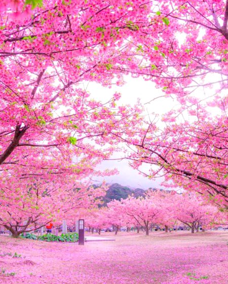 Beautiful nature❤️❤️❤️