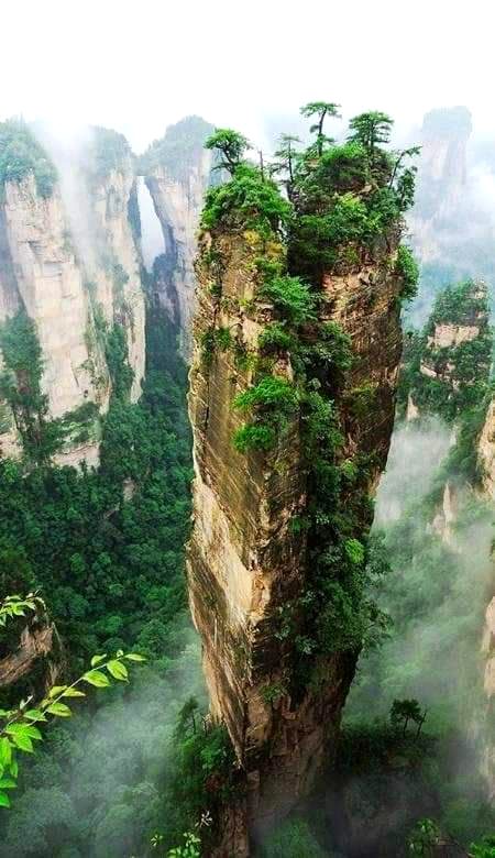 Beautiful Nature image