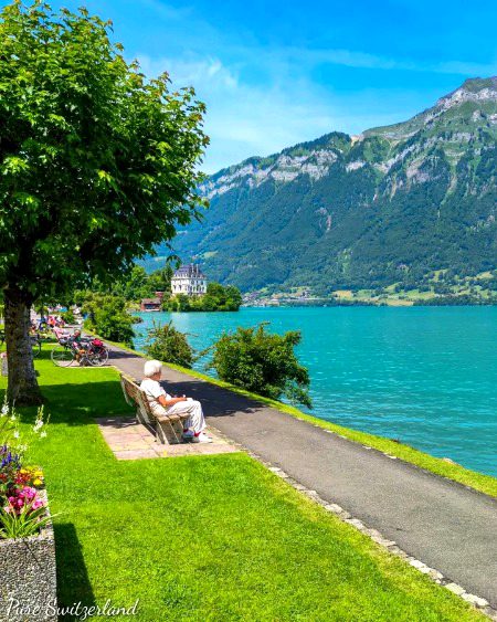 Beauti Of Switzerland!🌾🥀🦋💚🍃