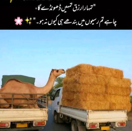 Beshak rizq ka wada Allah ny kia hy
