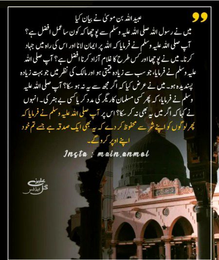 Islamic Quotes image