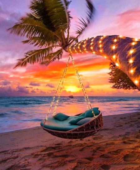 Swinging in the middle of nature is awesome🌅