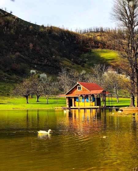 Beautiful Nature image