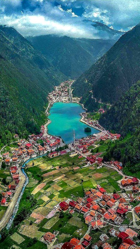 Beautiful Nature image