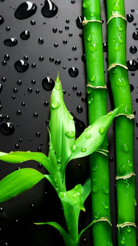 Digital art of natural beauty