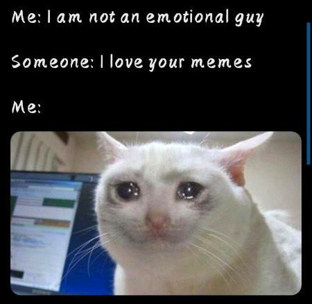 Memes & Satire image