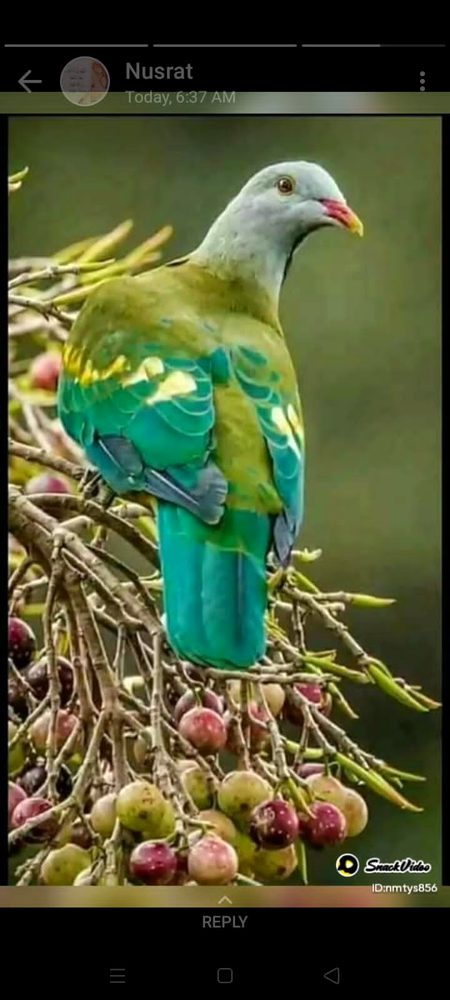 Beautiful Nature image