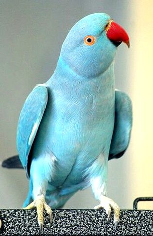 Beautiful Nature image