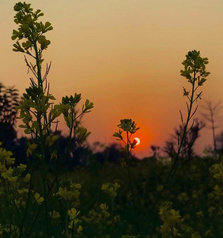 Beautiful Nature image