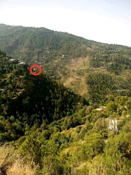 Beautiful Nature image