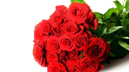 Beautiful Nature image