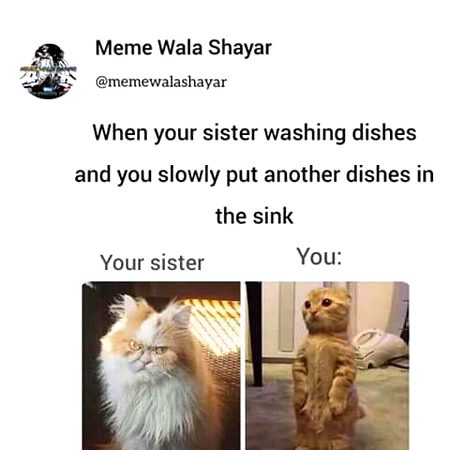 Memes & Satire image