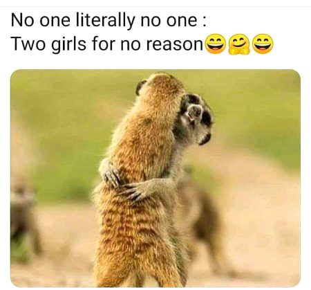 Memes & Satire image