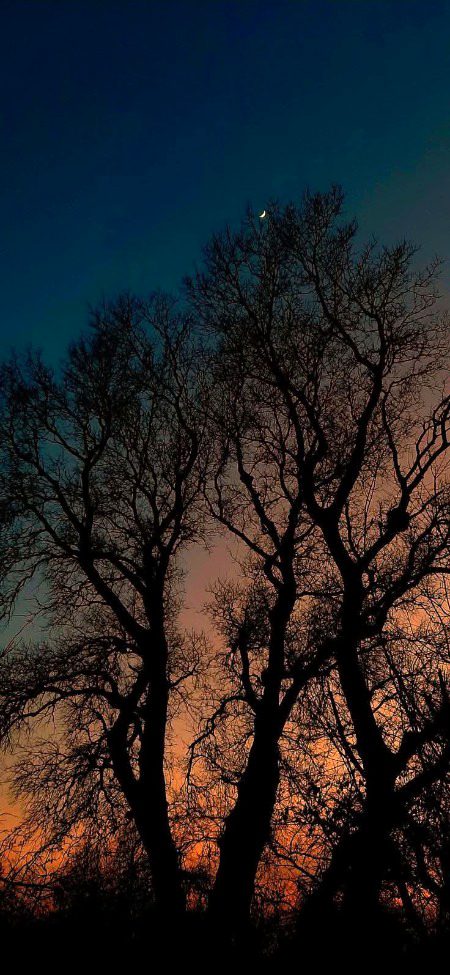 Beautiful Nature image