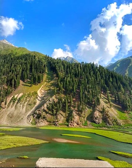 Beautiful Nature image