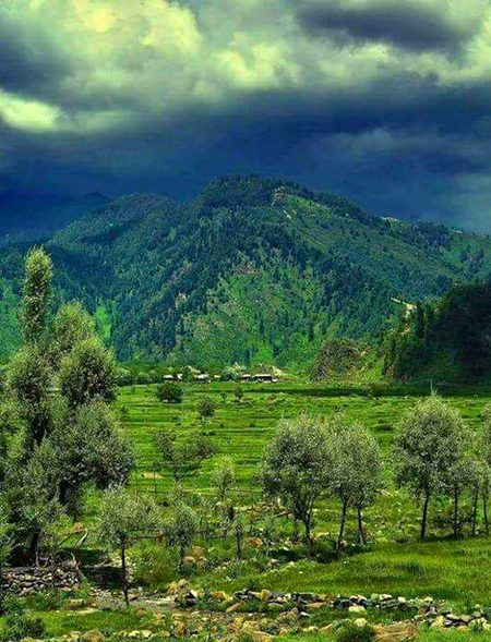 Beautiful Nature image