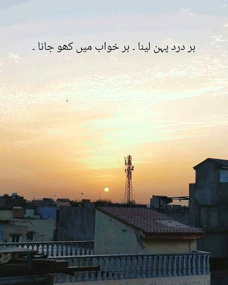🍁Zoq_Shab🍁