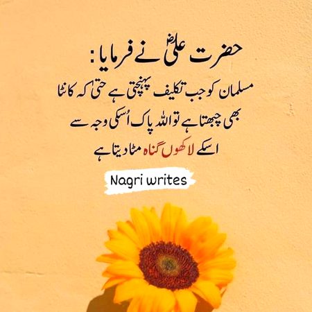 Islamic Quotes image