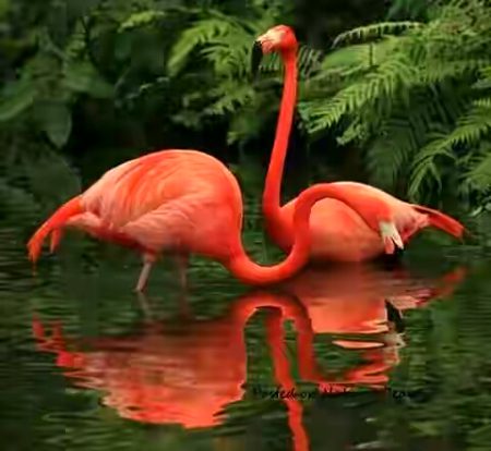 Beautiful Nature image