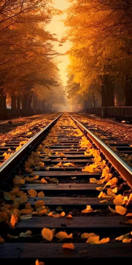 Beautiful Nature image