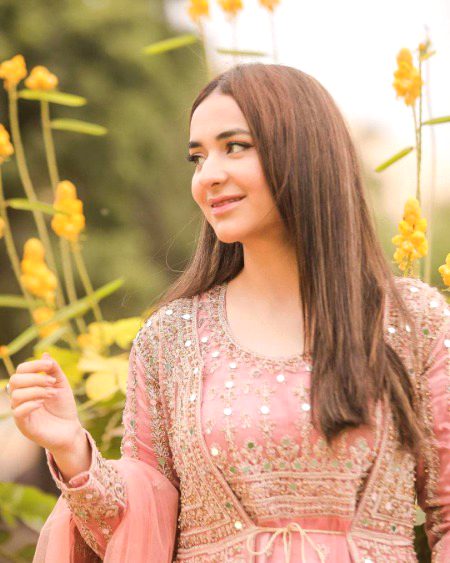 Pakistani Celebs image