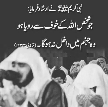 Islamic Quotes image