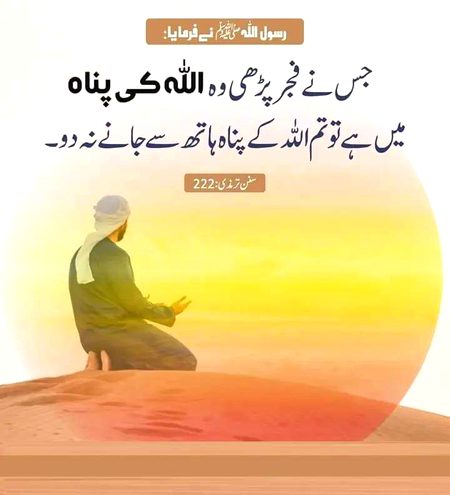 Islamic Quotes image