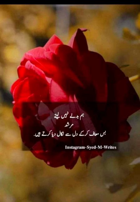 Attitude Poetry image