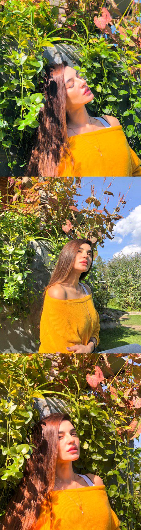 Pakistani Celebs image