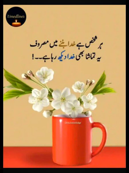 Asllam o Alikum