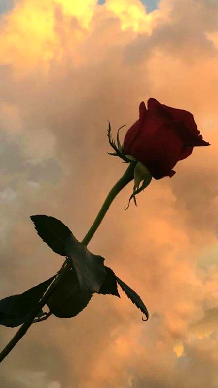 Beautiful Nature image