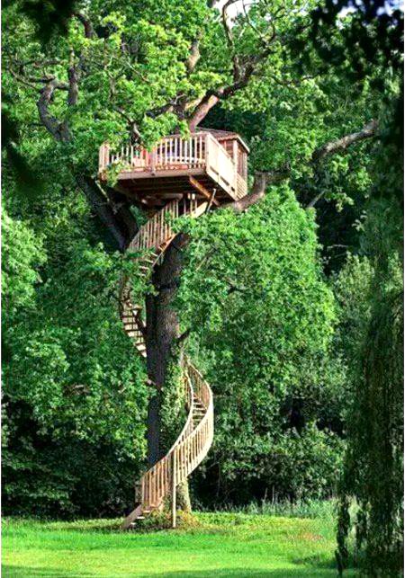 Beautiful Nature image