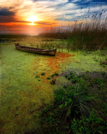 Beautiful Nature image