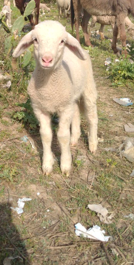 4 my 💗
 ZaRRaaR💔🥀