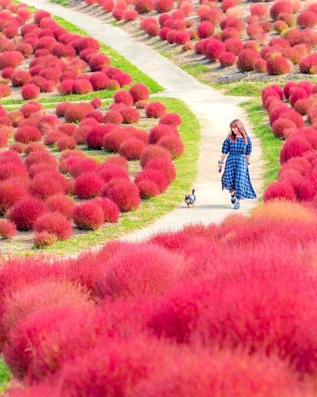 Beautiful Nature image