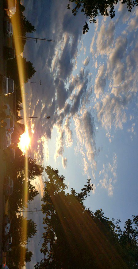 Beautiful Nature image