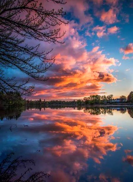 Beautiful Nature image