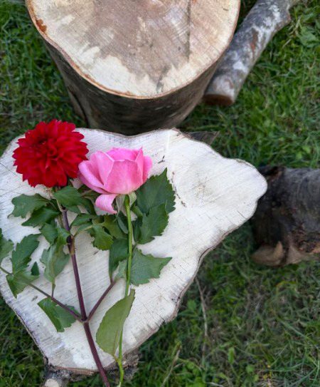 Beautiful Nature image