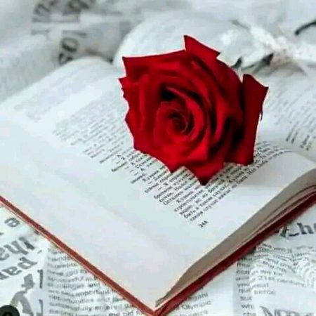 Beautiful Nature image