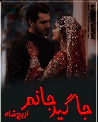 Romantic Novels image