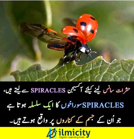 Interesting Posts image