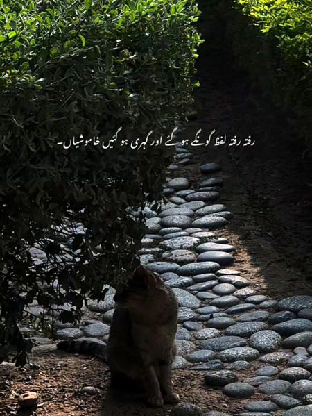 Sad Poetry image