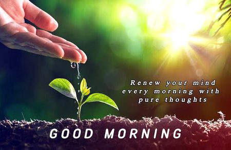 Morning to all