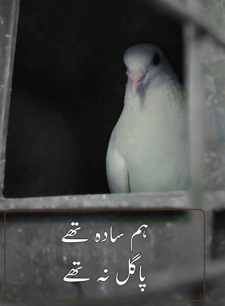 Attitude Poetry image